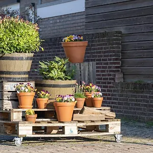 @ , Geulle Pays-Bas